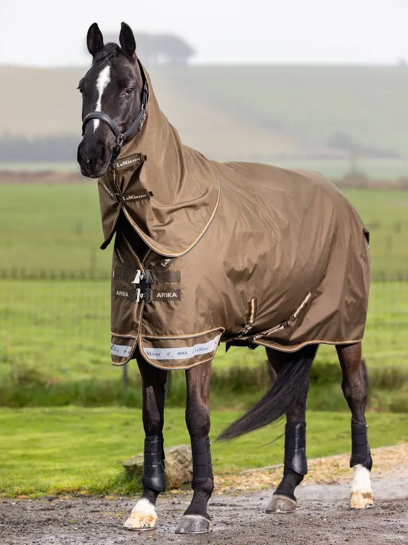 Lemieux Arika Ripstop 50G Turnout Rug Alpine 1