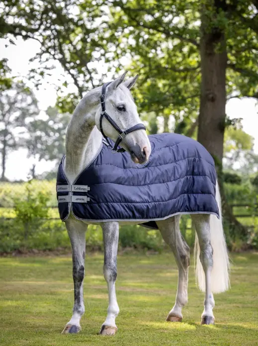 Lemieux Arika Rug Liner 1