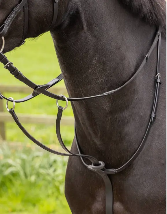Lemieux Arika Running Martingale 1