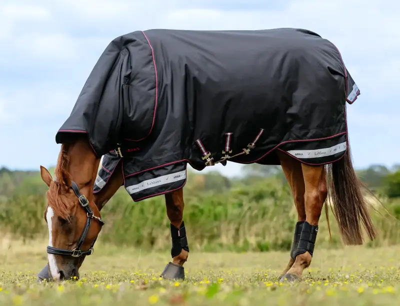 Lemieux Arika Storm-Tek 200G Turnout Blanket – 1200D Ripstop