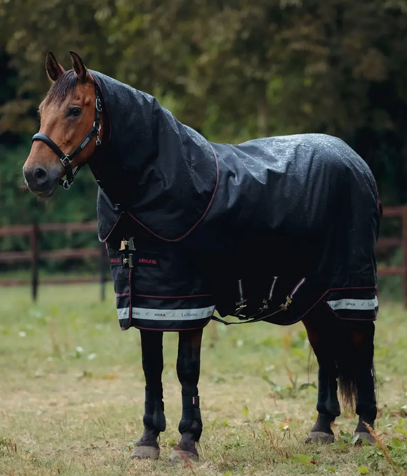 Lemieux Arika Storm-Tek Blanket 200G 1200D 3