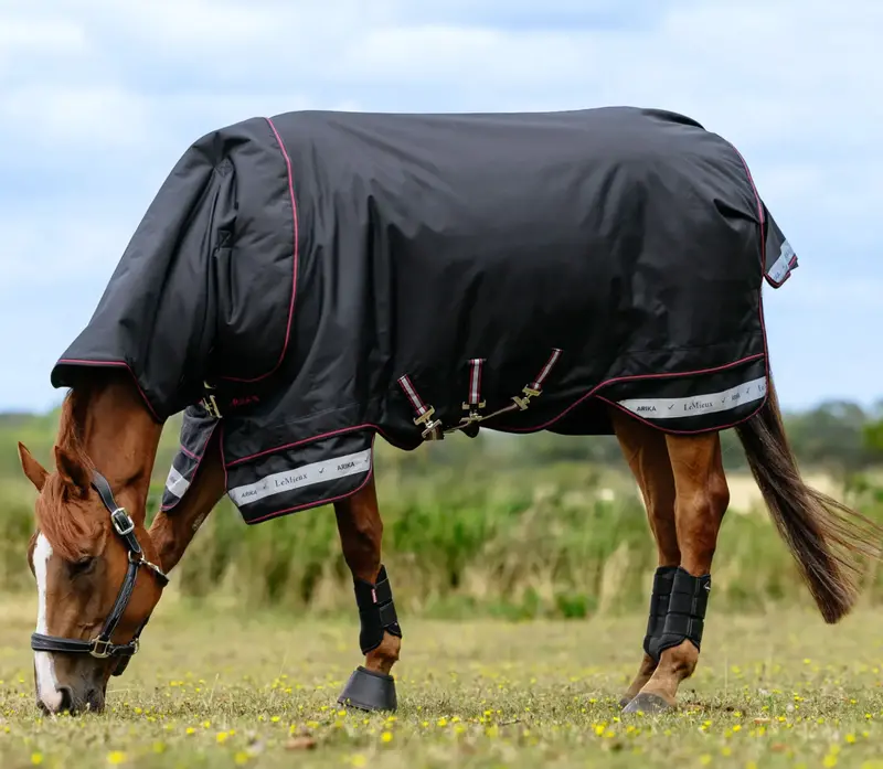 Lemieux Arika Storm-Tek Blanket 350G 1200D 4
