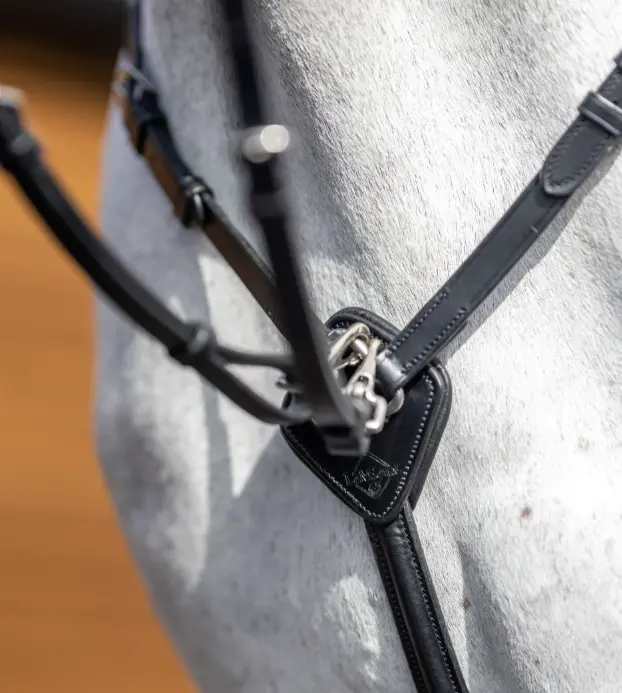Lemieux Breastplate (D Ring Attachment) With Detachable Martingale 1