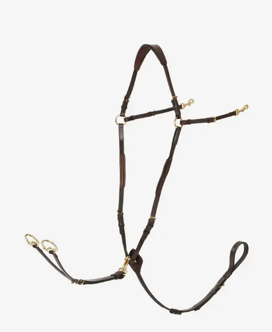 Lemieux Breastplate (D Ring Attachment) With Detachable Martingale 1