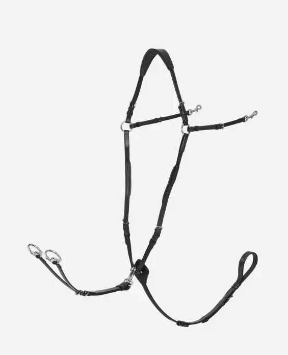 Lemieux Breastplate (D Ring Attachment) With Detachable Martingale 2