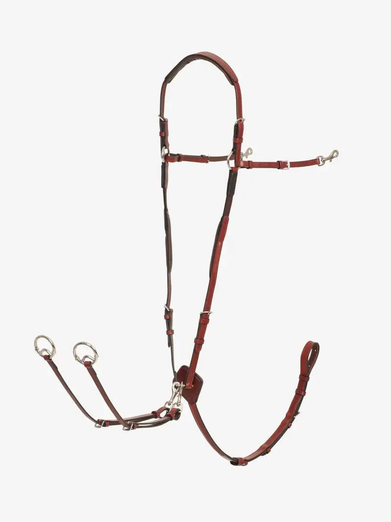 Lemieux Breastplate (D Ring Attachment) With Detachable Martingale 3