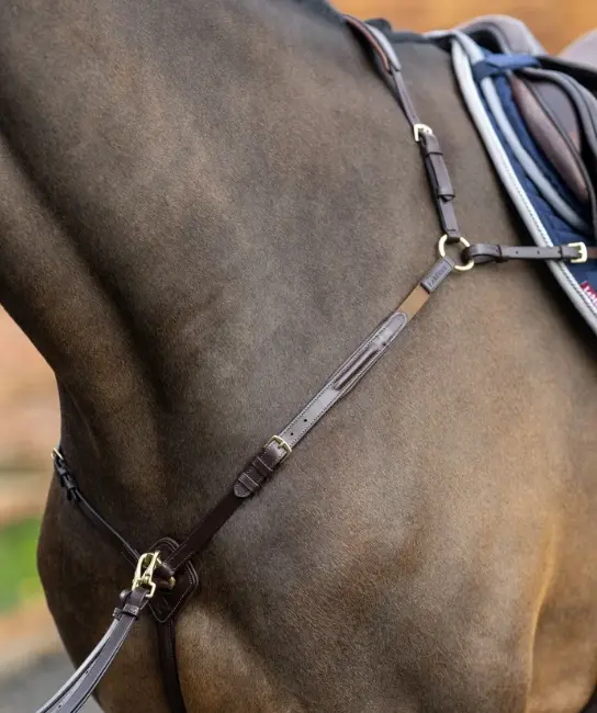 Lemieux Breastplate (D Ring Attachment) With Detachable Martingale 4