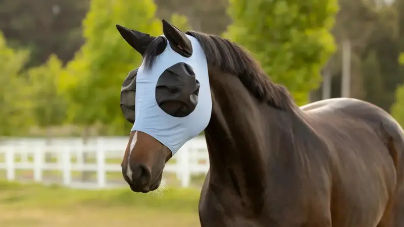 Lemieux Bug Relief Half Fly Mask – Breathable Mesh