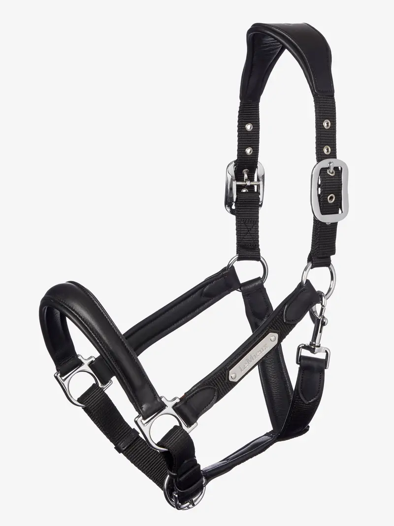 Lemieux Capella Halter 1