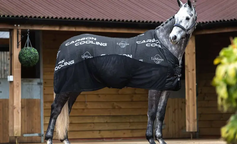 Lemieux Carbon Cooler Blanket 1
