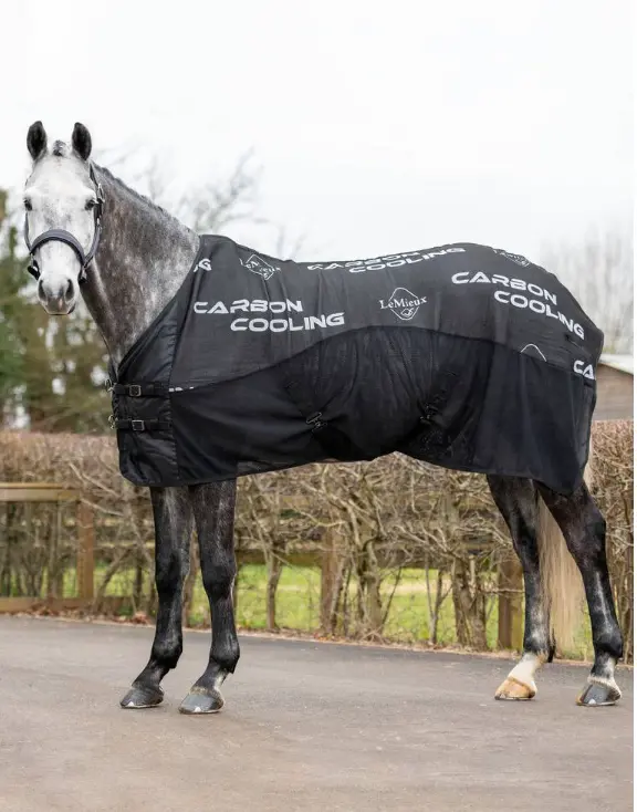Lemieux Carbon Cooler Blanket 2