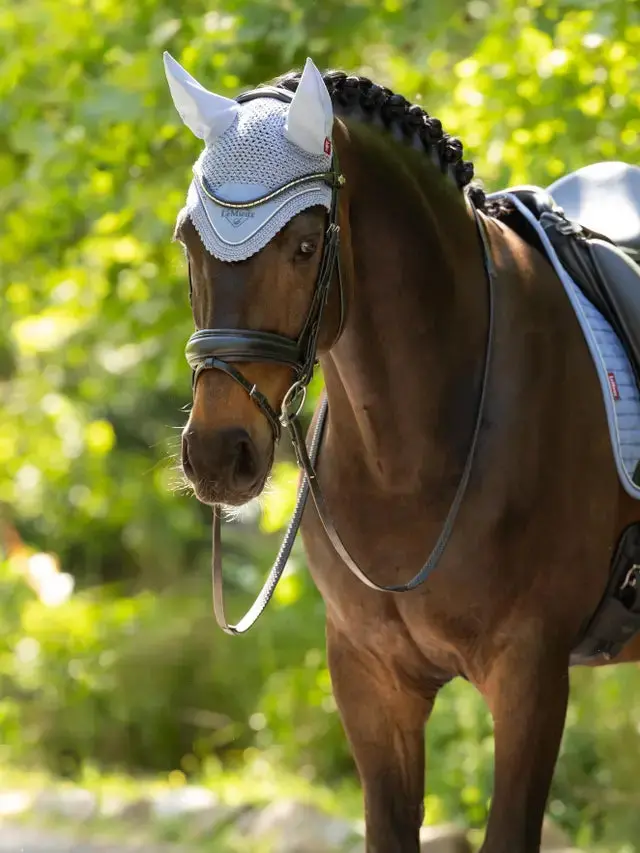 Lemieux Classic Fly Bonnet 1