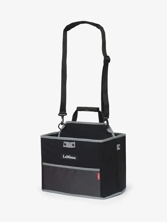 Lemieux Collapsible Storage Tote 1