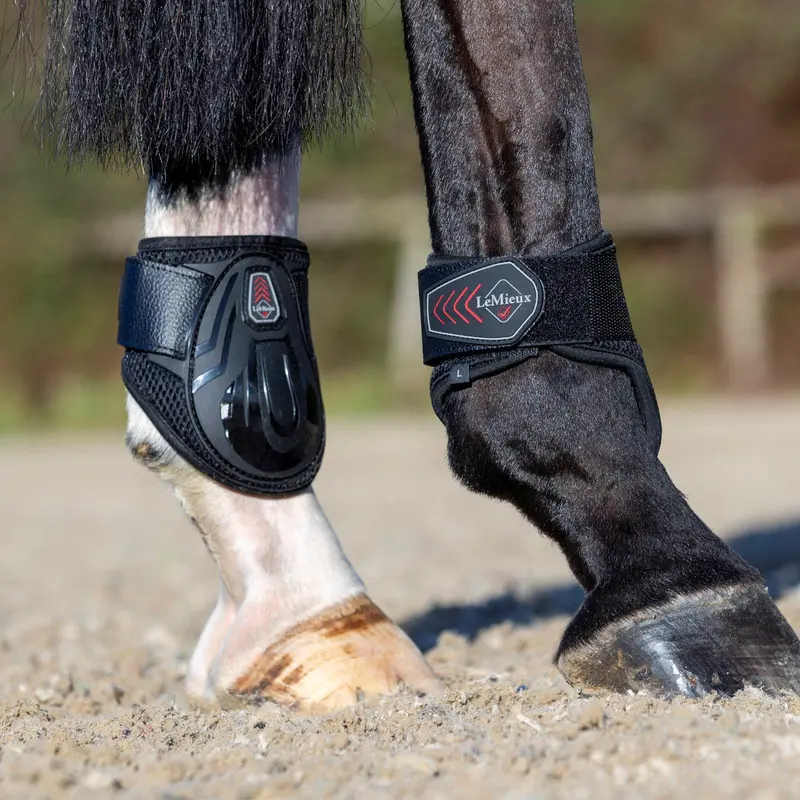 Lemieux Derby Projump Fetlock Boot 1