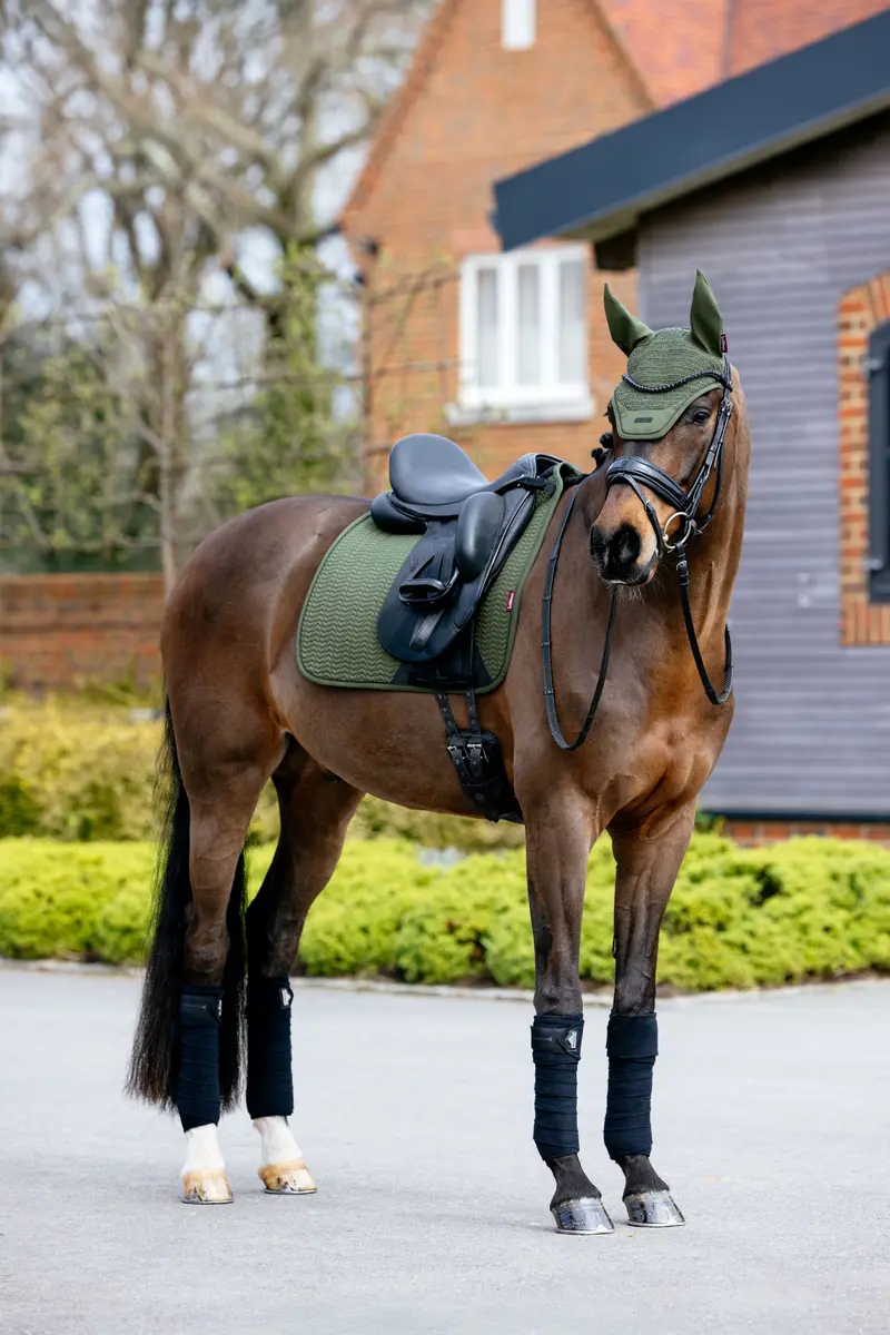 Lemieux Essence Dressage Saddle Pad 5