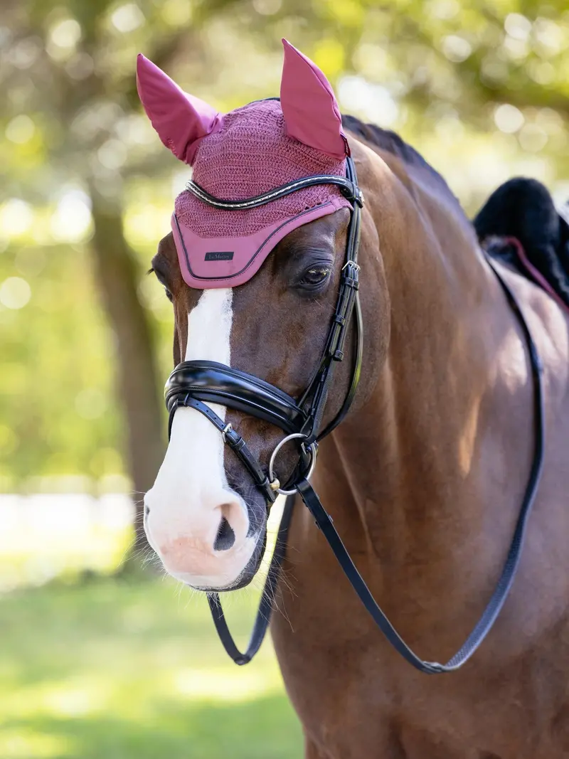 Lemieux Essence Fly Hood 9