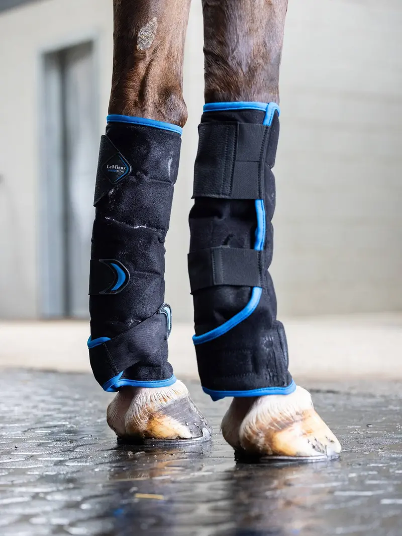 Lemieux Freeze Flow Ice Boot 1