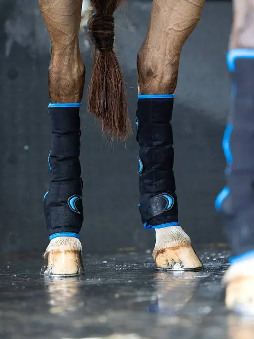 Lemieux Freeze Flow Ice Boot 2