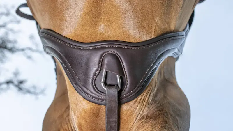 Lemieux Gel Tek Anatomic Jumping Girth 2