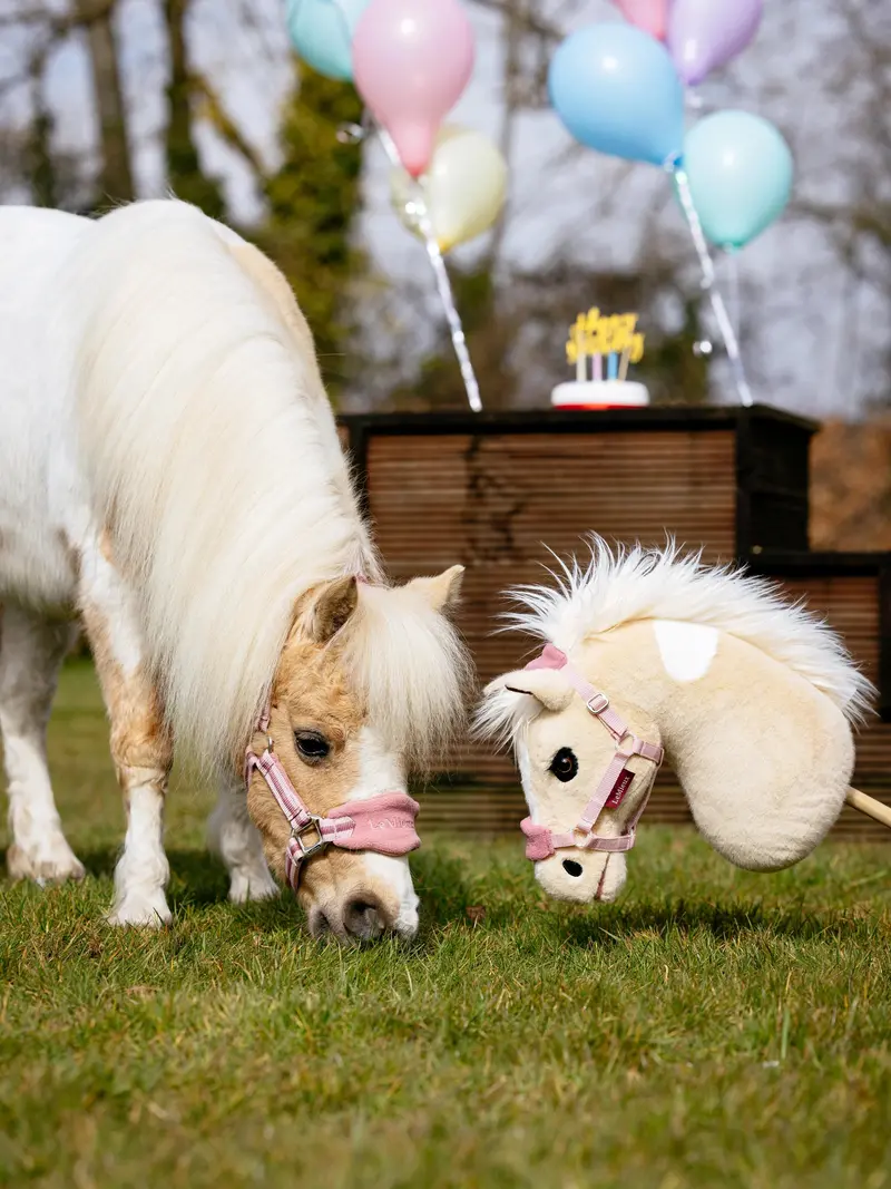 Lemieux Hobby Horse 12