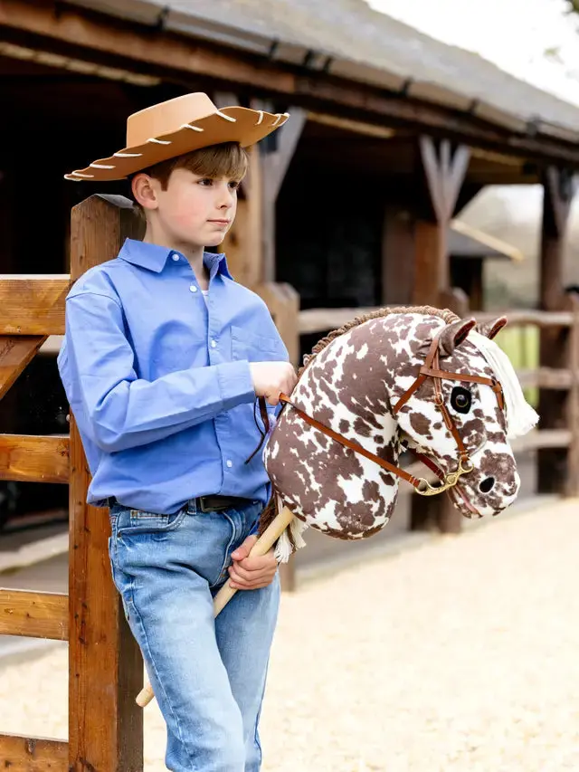 Lemieux Hobby Horse 13