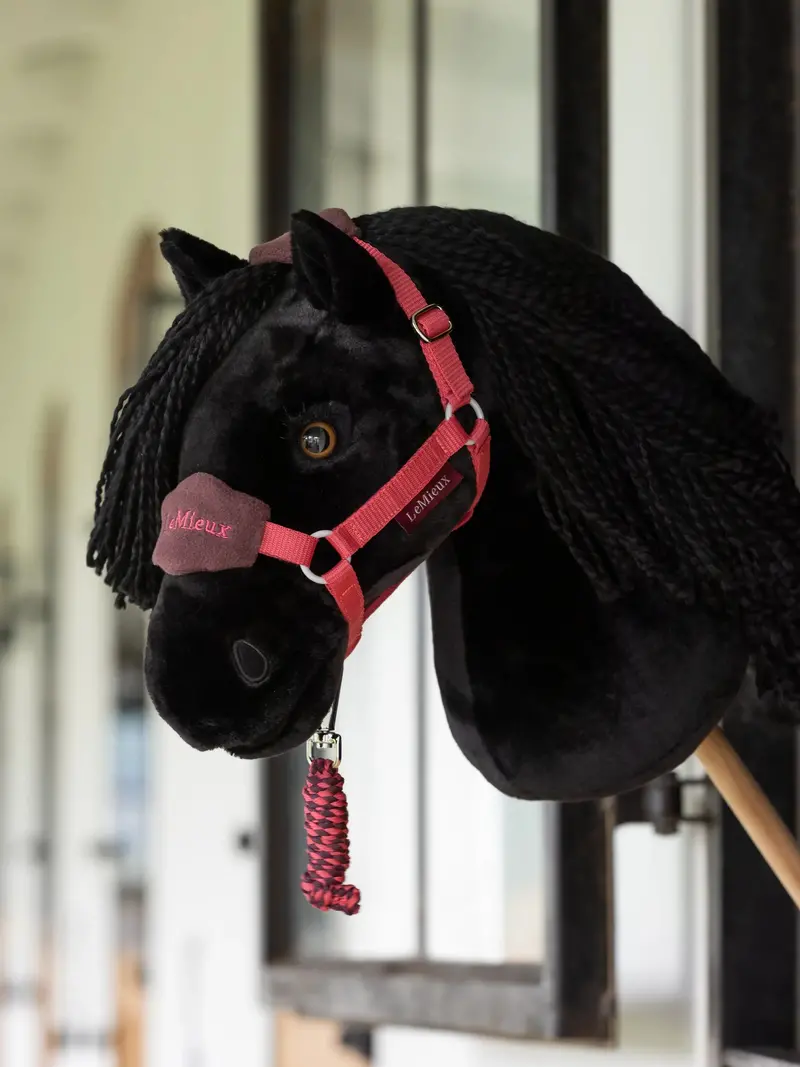 Lemieux Hobby Horse 14