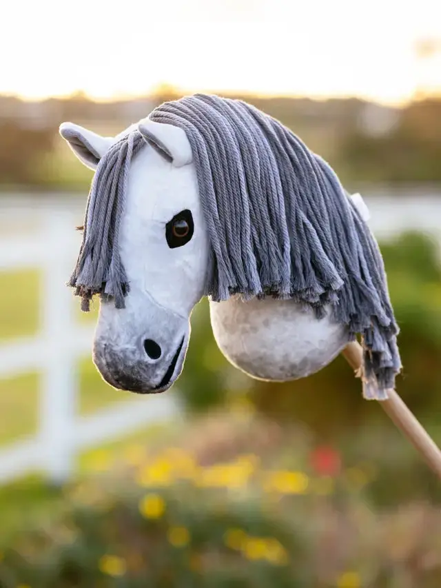 Lemieux Hobby Horse 15
