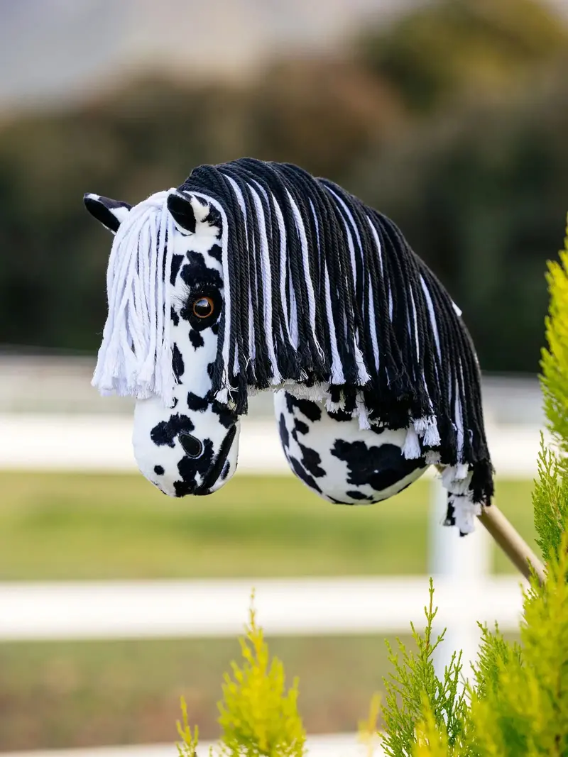 Lemieux Hobby Horse 2