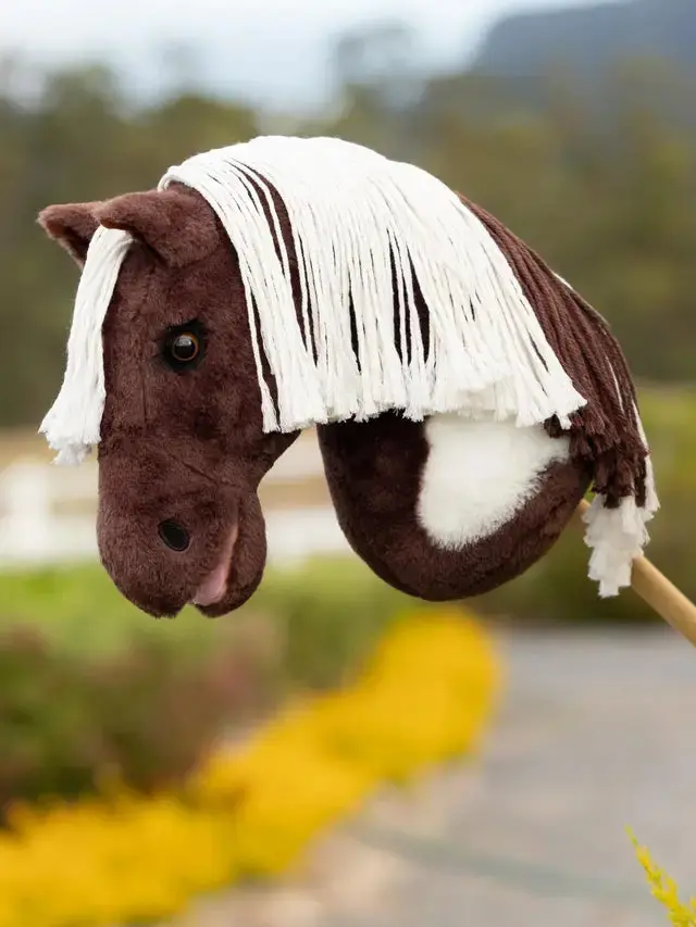 Lemieux Hobby Horse 3