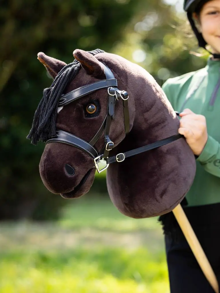 Lemieux Hobby Horse 9