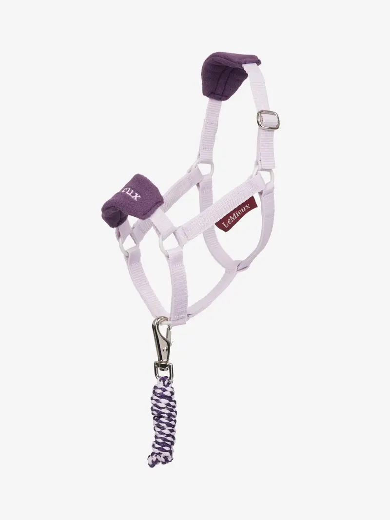 Lemieux Hobby Horse Halter 2