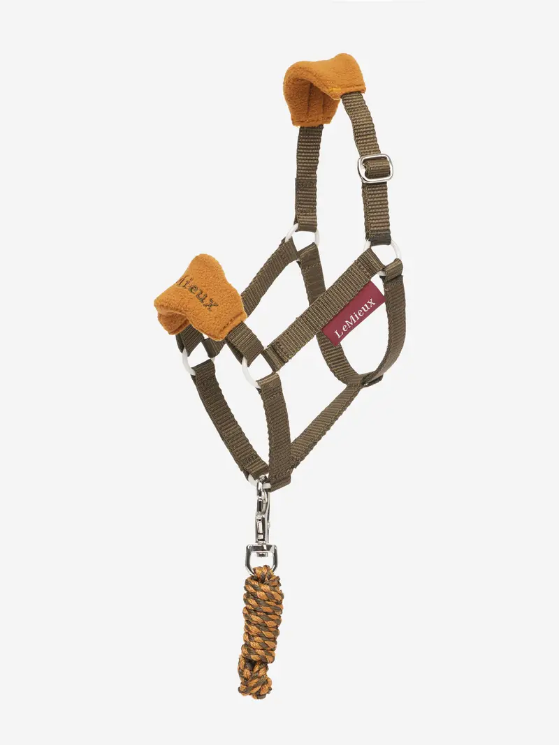 Lemieux Hobby Horse Halter 4