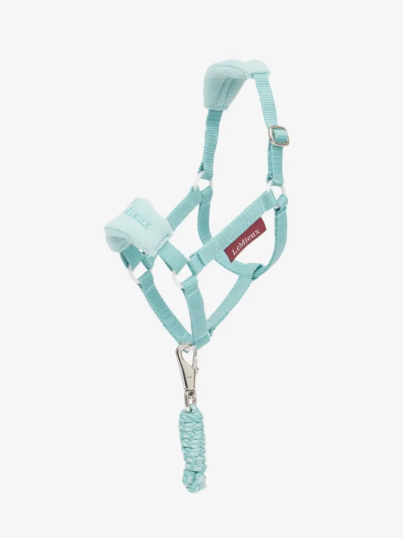 Lemieux Hobby Horse Halter 7