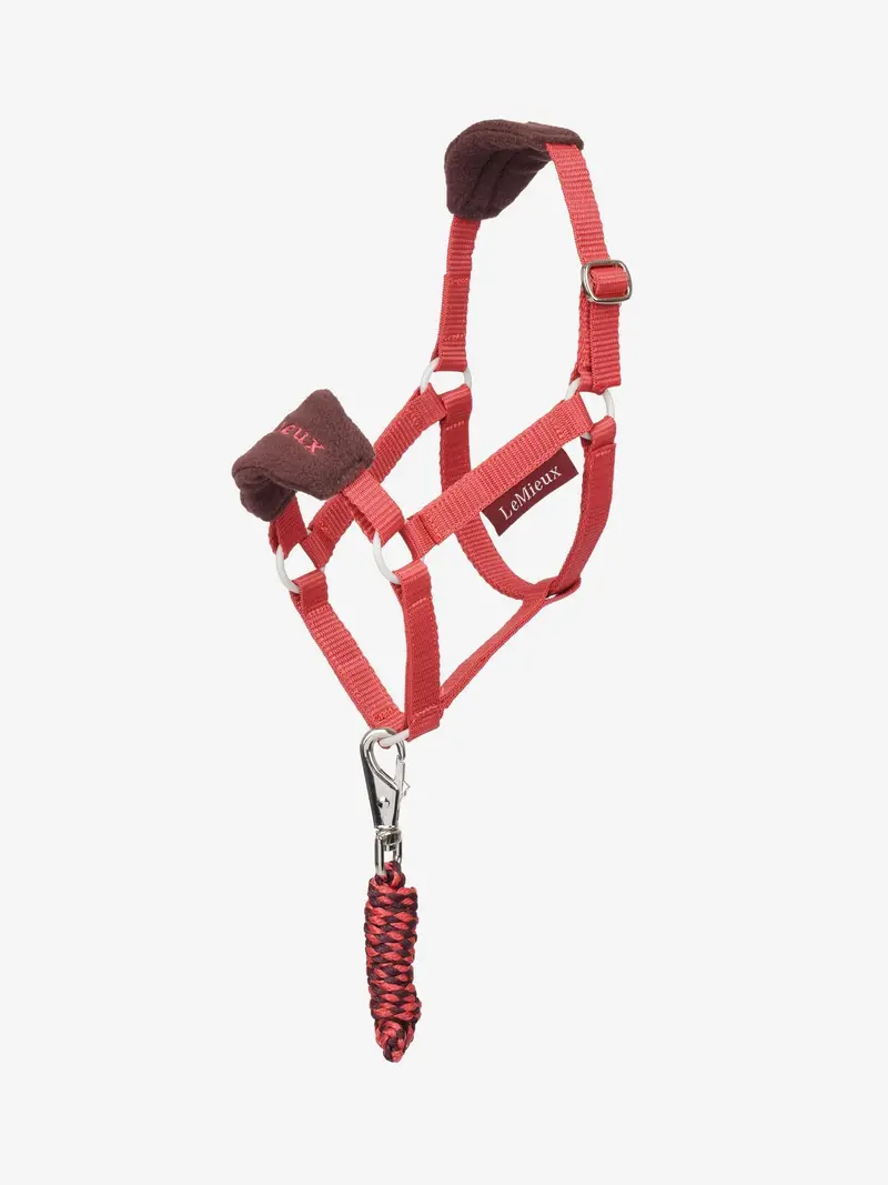 Lemieux Hobby Horse Halter 8