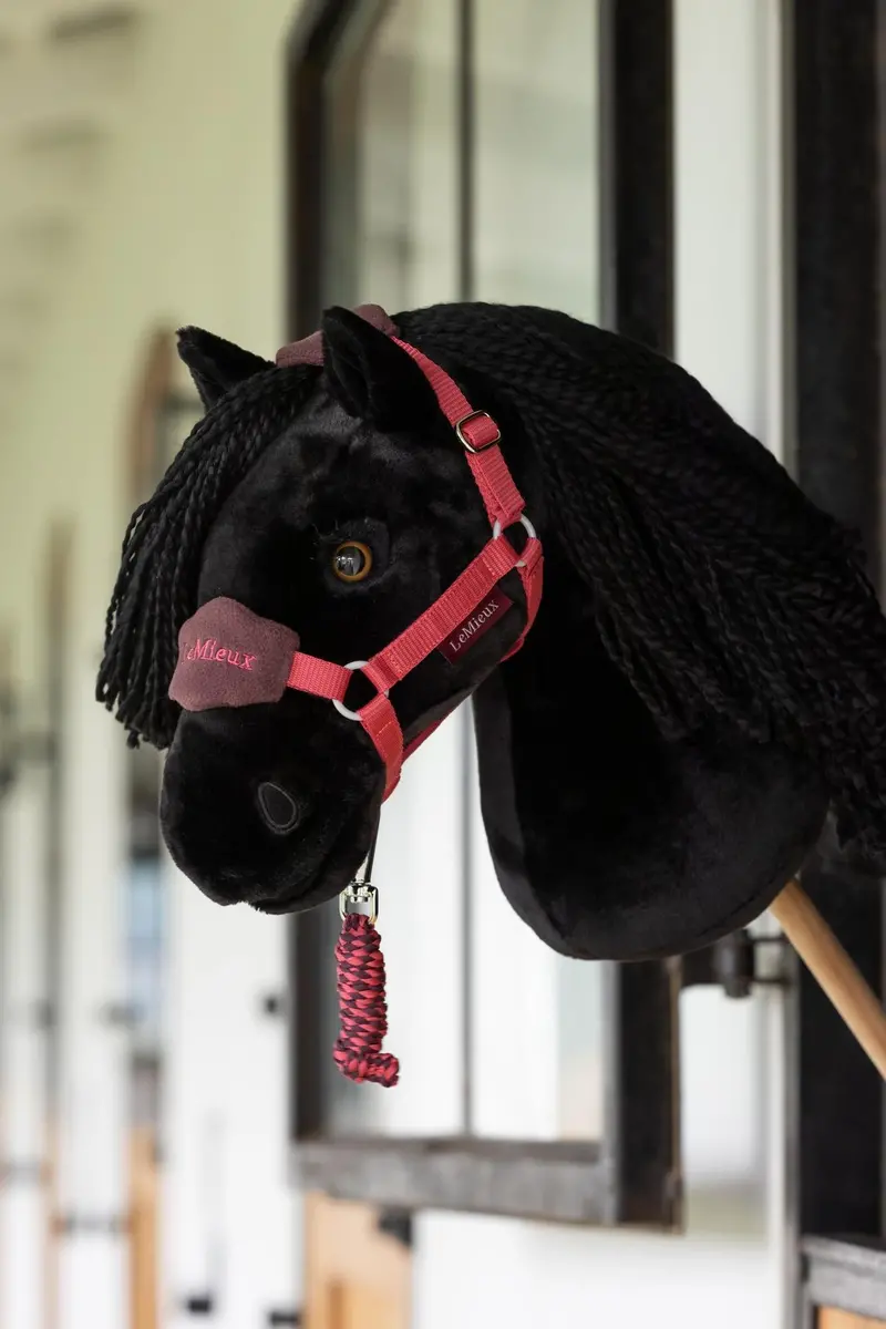 Lemieux Hobby Horse Halter 9