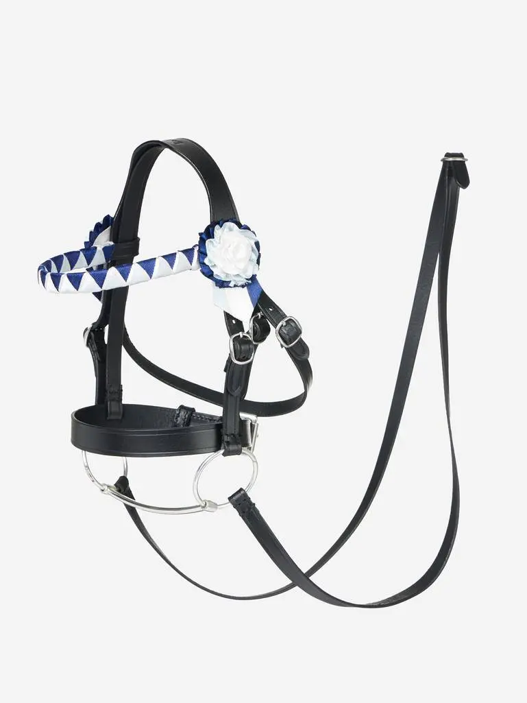 Lemieux Hobby Horse Showing Bridle Black 1
