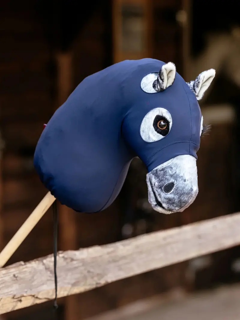 Lemieux Hobby Horse Sleazy Clean Hood 1