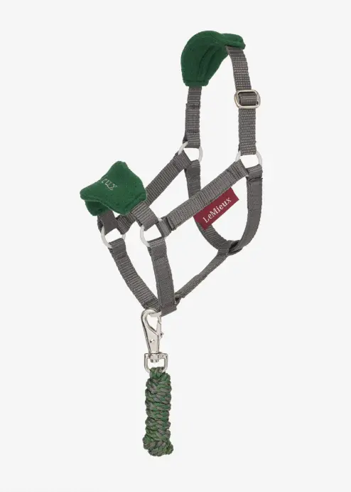 Lemieux Hobby Horse Vogue Halter 2
