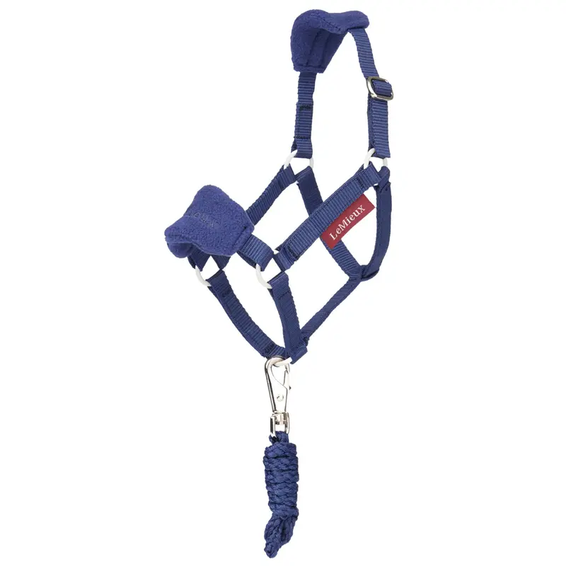 Lemieux Hobby Horse Vogue Halter 3