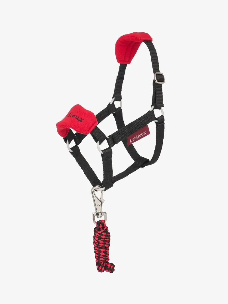 Lemieux Hobby Horse Vogue Halter 3