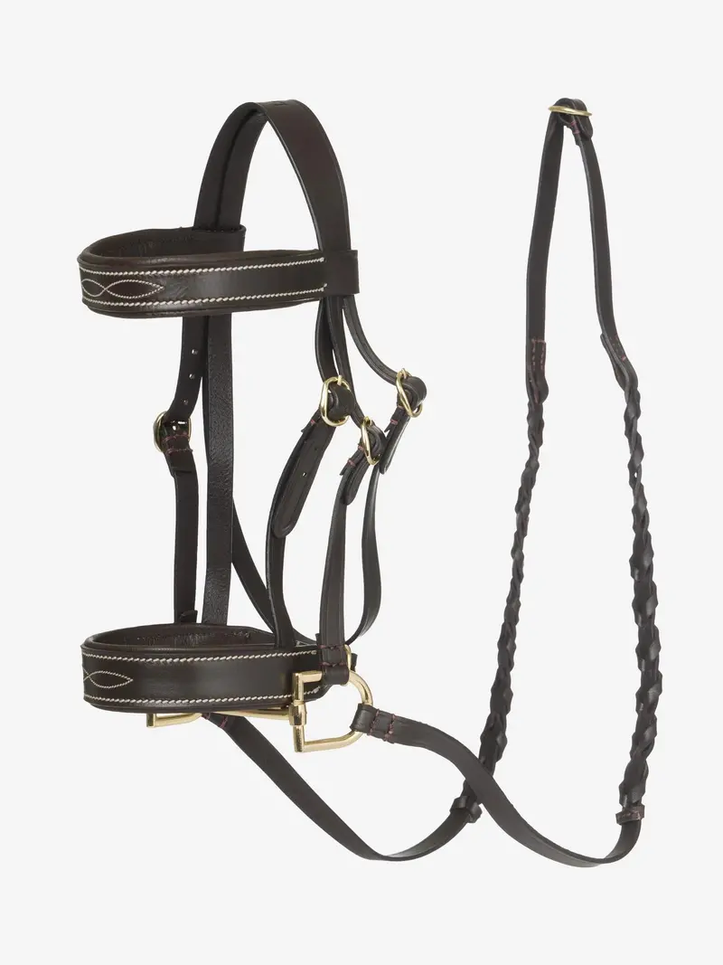 Lemieux Hobby Hunter Bridle 1