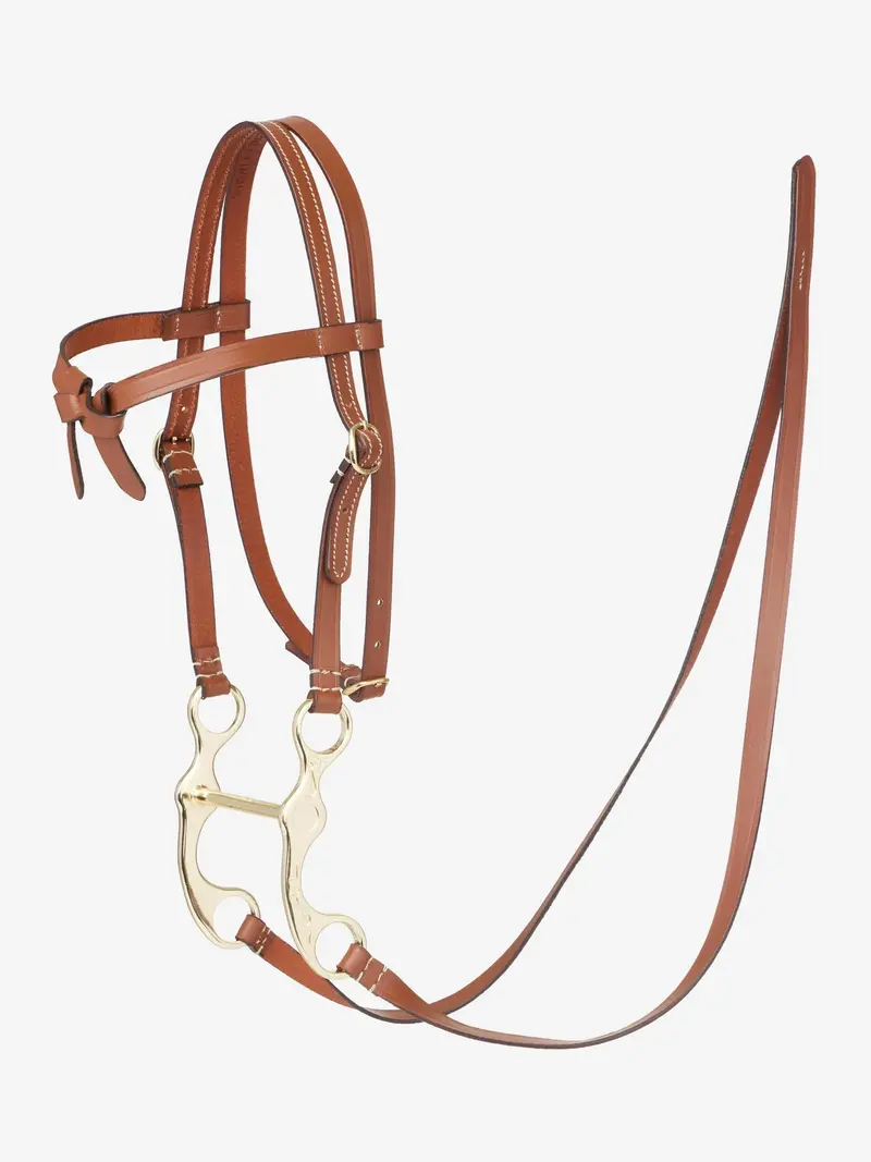 Lemieux Hobby Western Bridle 1