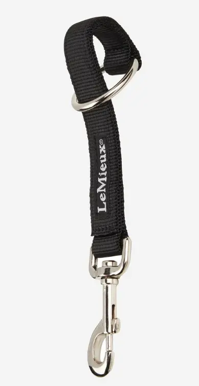 Lemieux Hook And Loop Strap 1