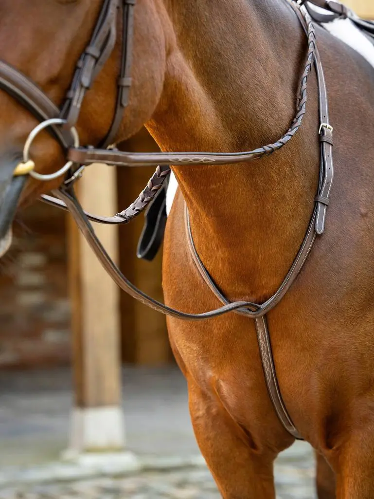 Lemieux Hunter Standing Martingale 1