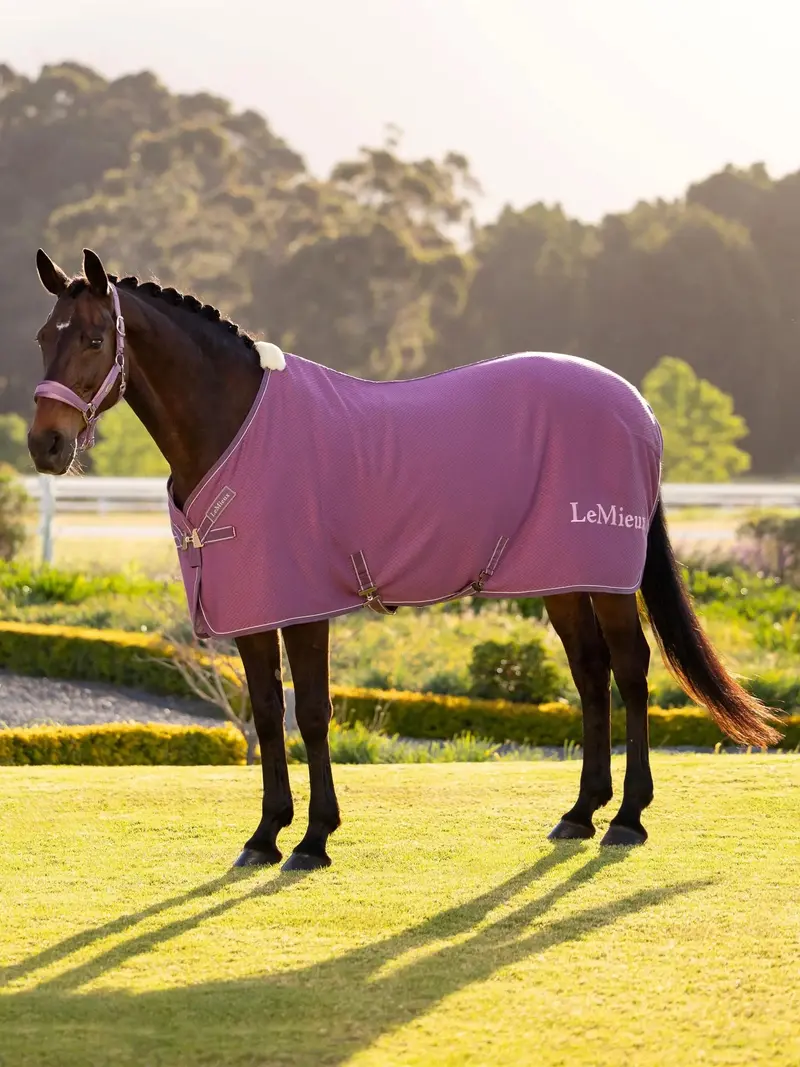 Lemieux Kudos Bamboo Cooler – Eco-Friendly & Moisture-Wicking