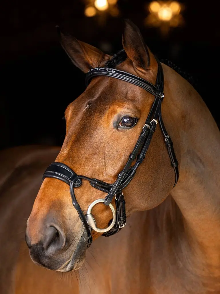 Lemieux Kudos Clear Arc Bridle – Transparent Noseband Design