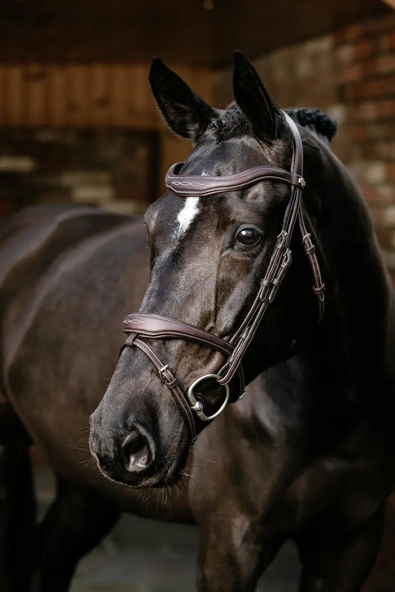 Lemieux Kudos Contour Flash Bridle 1