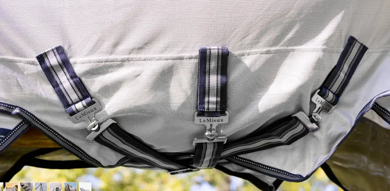 Lemieux Kudos Gladiator Fly Sheet 1