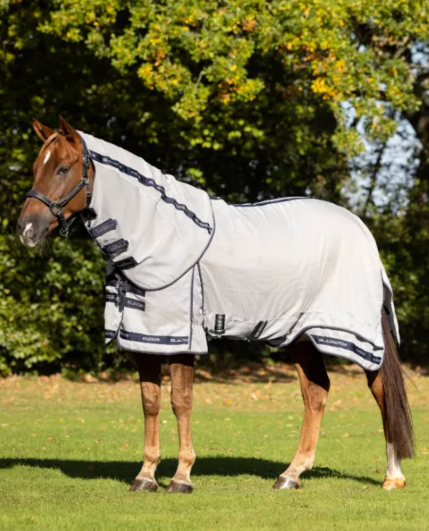 Lemieux Kudos Gladiator Fly Sheet 2