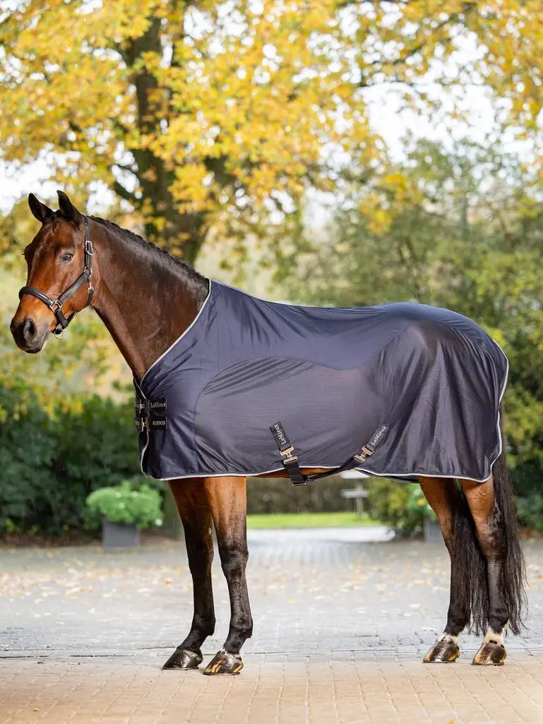 Lemieux Kudos Hybrid Cooler 1
